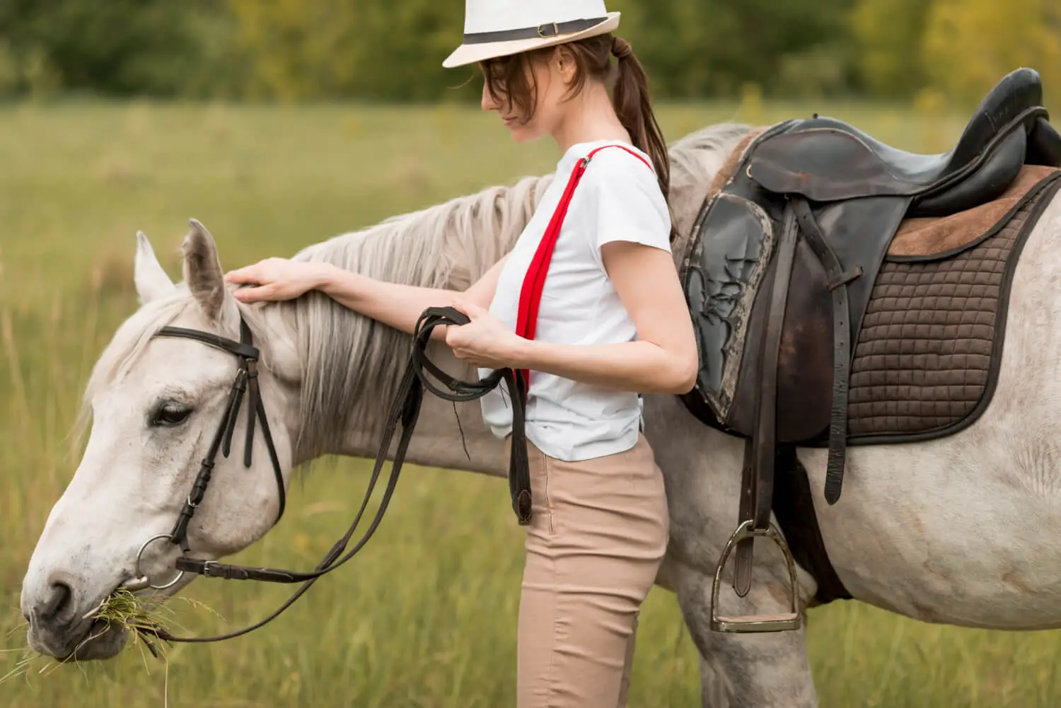 Rider trains with the horse