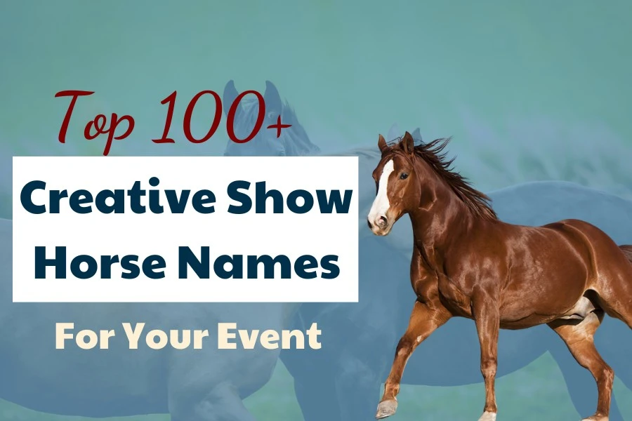 Top 100+ Creative Show Horse Names for Your Next Event