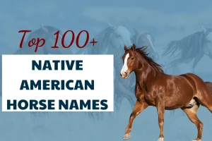 Top 100+ Native American Horse Names and Their Meanings