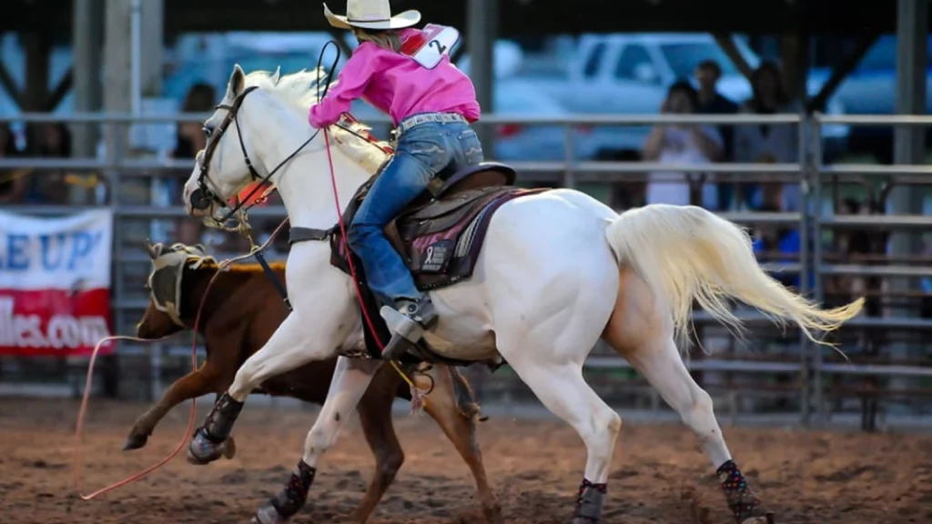 American Quarter Horse