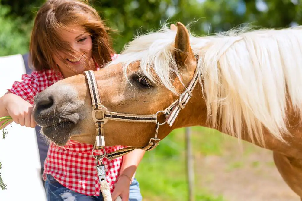 Can horses eat celery? Yes, celery is safe to feed horses
