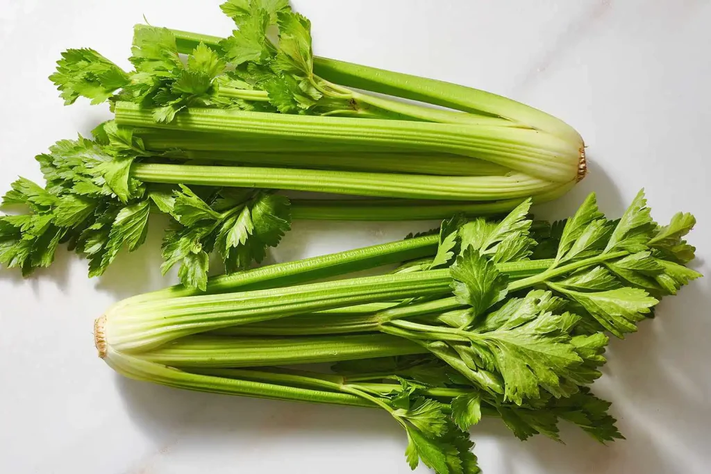 Can horses eat celery? Yes, but with small amounts