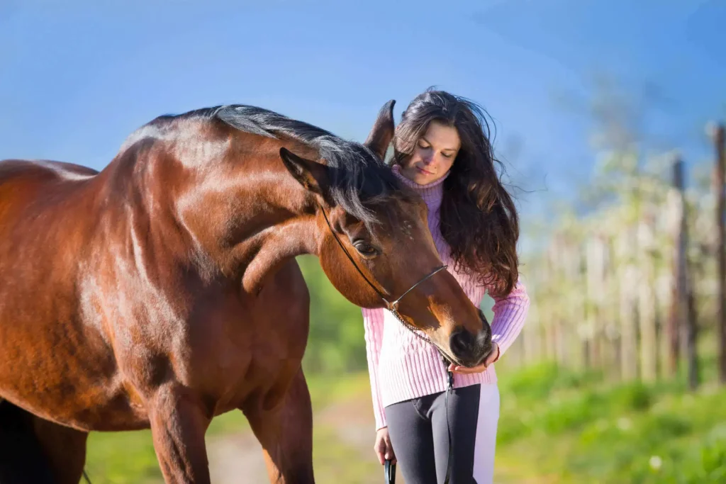 Benefits of eating celery - Can horses eat celery?
