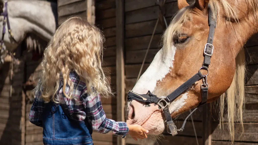 Horses can eat many kinds of fruits