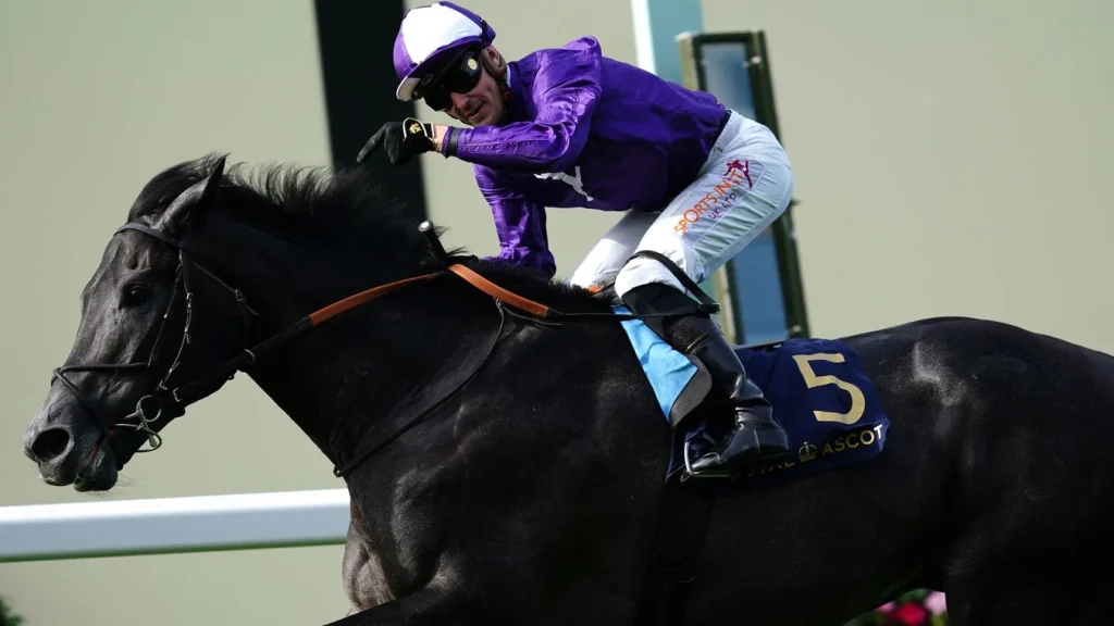 Famous black horse names in racing