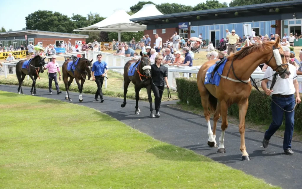 Great race horse names can help to evoke their speed and power