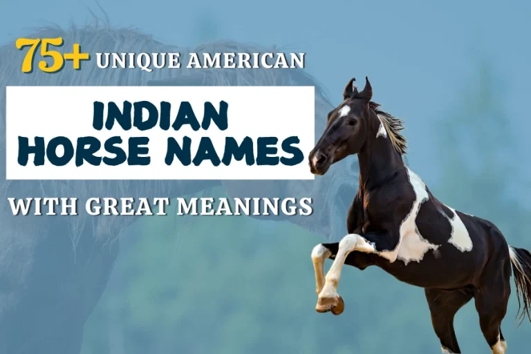 75+ Unique American Indian Horse Names With Great Meanings