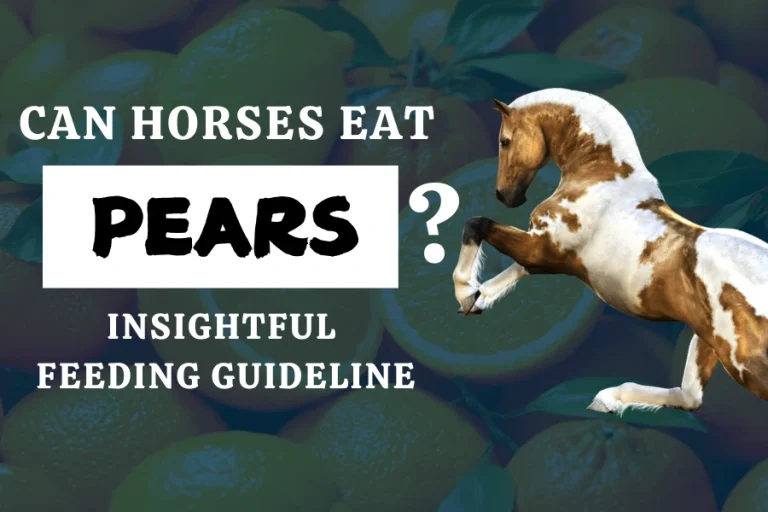 Can Horses Eat Pears? Insightful Feeding Guideline