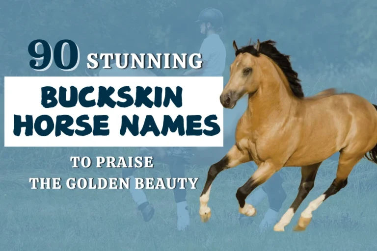 90 Stunning Buckskin Horse Names To Praise The Golden Beauty