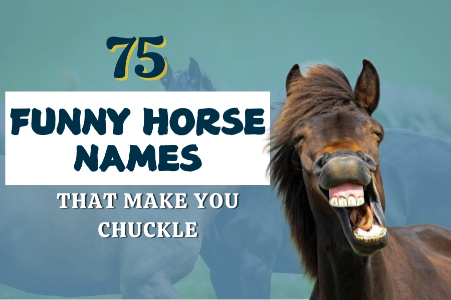 75 Funny Horse Names That Make You Chuckle