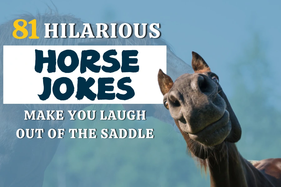 81 Hilarious Horse Jokes Make You Laugh Out Of The Saddle