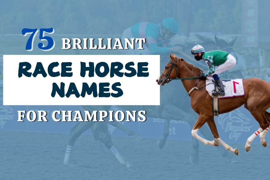 75 Brilliant Race Horse Names For Champions