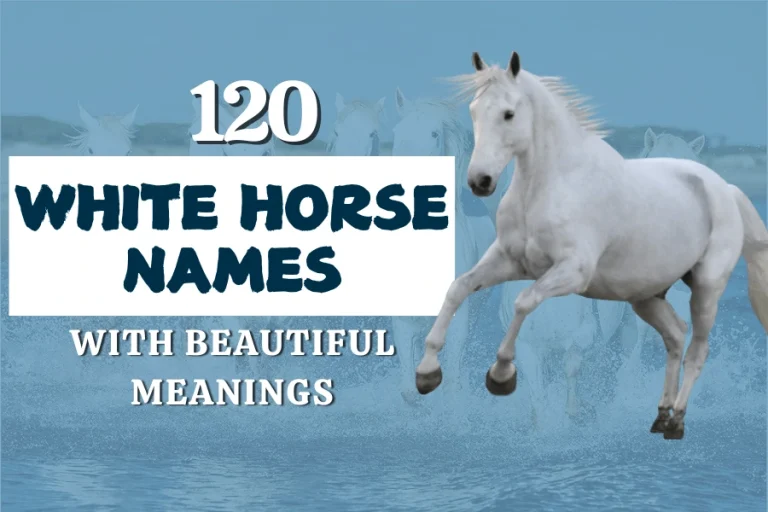 120 Best White Horse Names With Beautiful Meanings