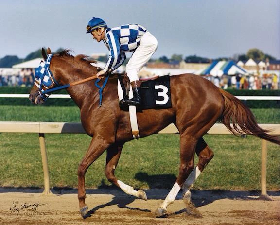 Secretariat - famous race horse of the end of the 20th century