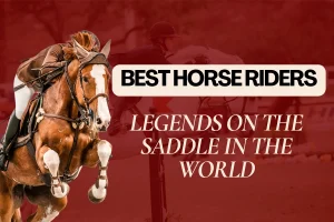 Best Horse Riders: Legends On The Saddle In This World