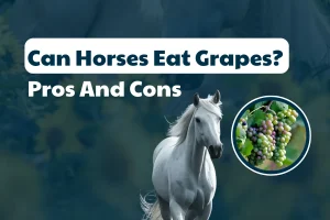 Can Horses Eat Grapes? Pros And Cons