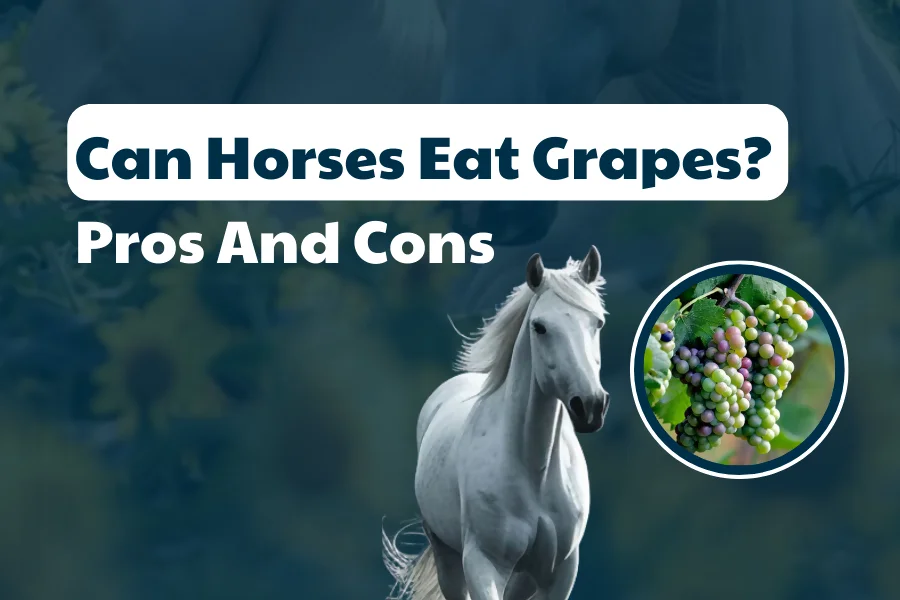 Can Horses Eat Grapes? Pros And Cons