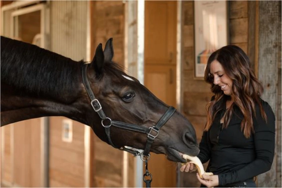 Cons of feeding bananas to horse