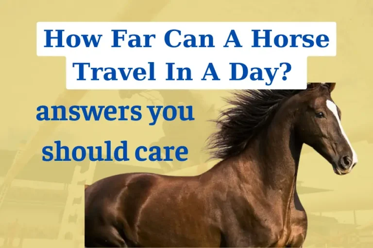 How far can a horse travel in a day