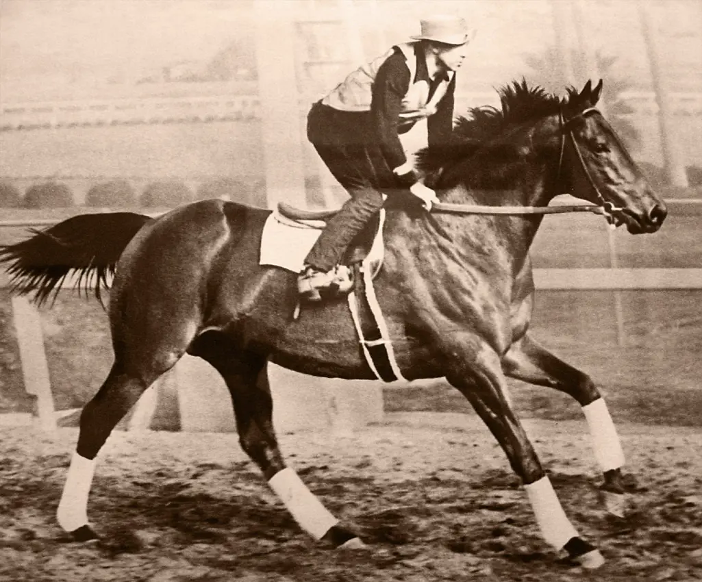 Seabiscuit - The unknown to the most famous race horse