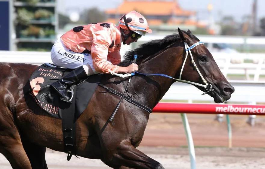 Black Caviar in Flemington Racecourse, Australia