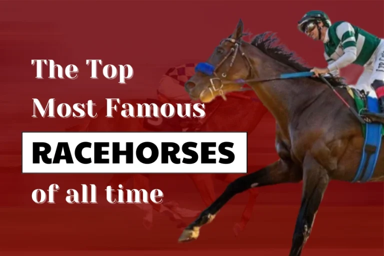 The 10 most famous race horses of all time