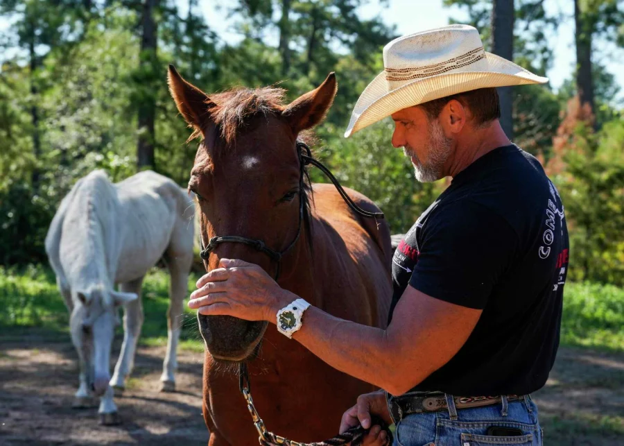 Horses are man's loyal friend