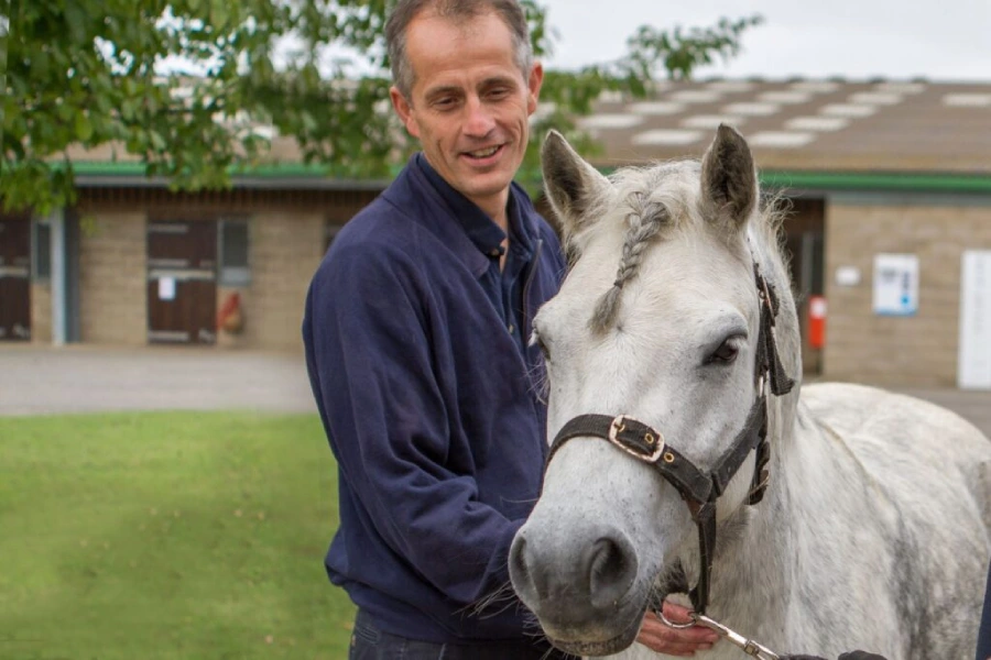 Take care of horses when using them on the ranch