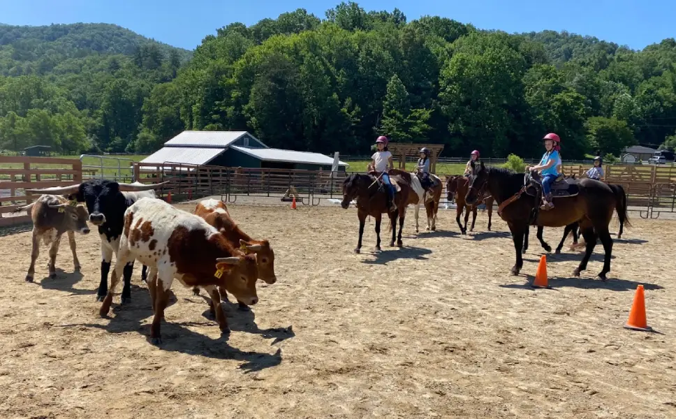 Using horses on farms will help create a more diverse ecosystem